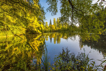 Картинка природа реки озера лес река