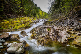 Картинка природа реки озера простор