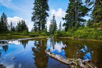 Картинка природа реки озера простор