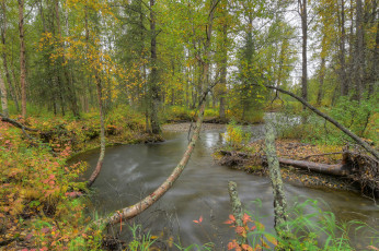 Картинка природа реки озера простор