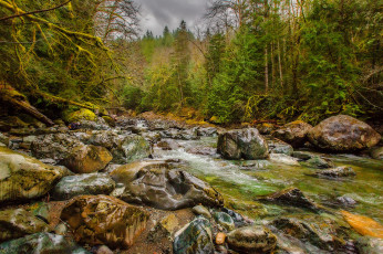 Картинка природа реки озера простор