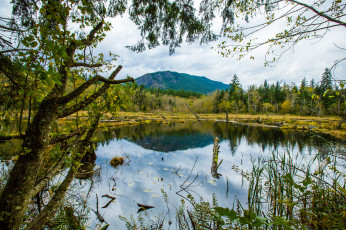 Картинка природа реки озера простор