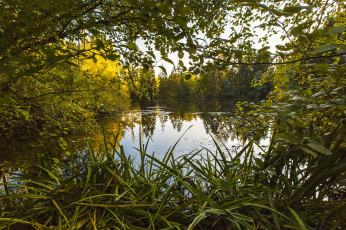 Картинка природа реки озера река лес