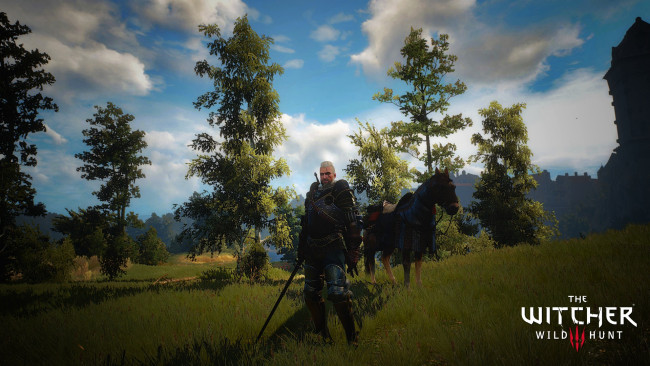 Обои картинки фото видео игры, the witcher 3,  wild hunt, фон, взгляд, мужчина