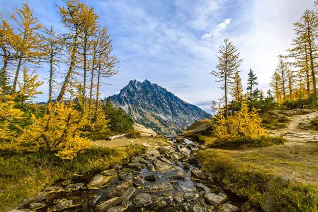 Обои картинки фото природа, пейзажи, простор