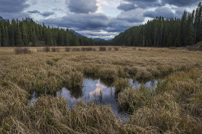 Обои картинки фото природа, пейзажи, простор