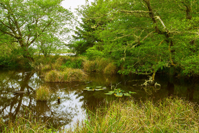 Обои картинки фото природа, реки, озера, простор