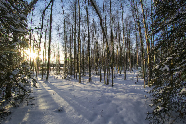 Обои картинки фото природа, зима, простор