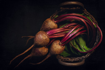 Картинка еда овощи снедь