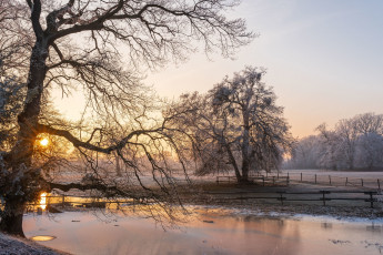 Картинка природа реки озера простор