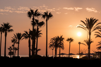 Картинка природа тропики простор