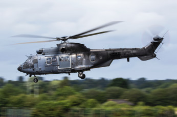 Картинка as543u2+cougar авиация вертолёты вертушка
