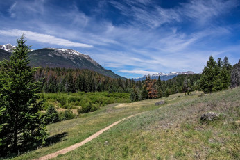 Картинка природа пейзажи простор