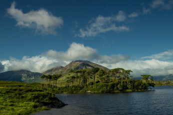 Картинка природа побережье простор