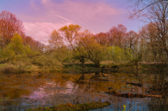 Картинка природа реки озера простор