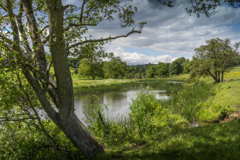 Картинка природа реки озера простор