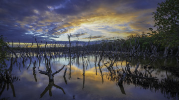 Картинка природа реки озера простор