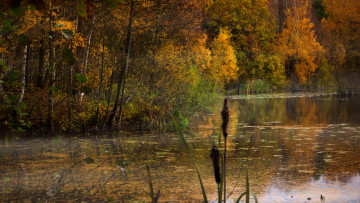 Картинка природа реки озера простор