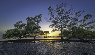 Картинка природа восходы закаты простор