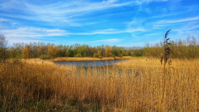 Обои картинки фото природа, реки, озера, простор