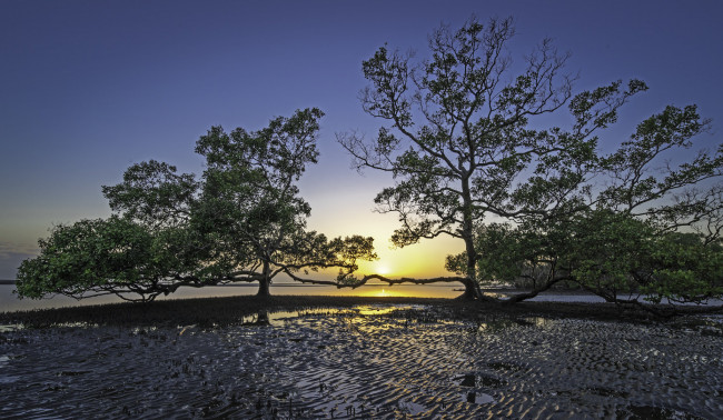 Обои картинки фото природа, восходы, закаты, простор