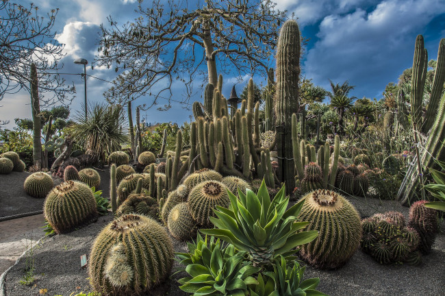 Обои картинки фото природа, парк, простор