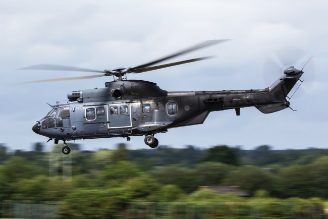 Обои картинки фото as543u2 cougar, авиация, вертолёты, вертушка