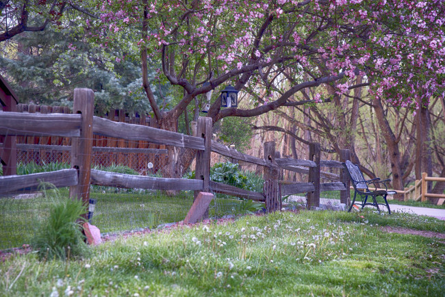 Обои картинки фото природа, парк, простор