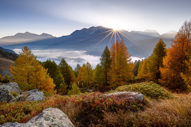 Обои картинки фото природа, пейзажи, простор