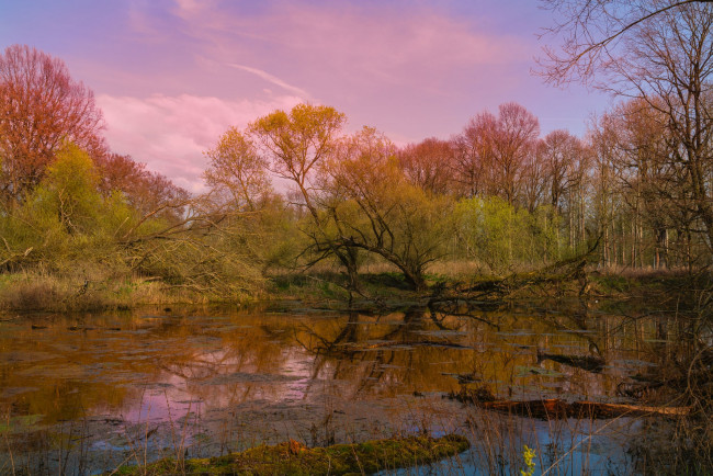 Обои картинки фото природа, реки, озера, простор