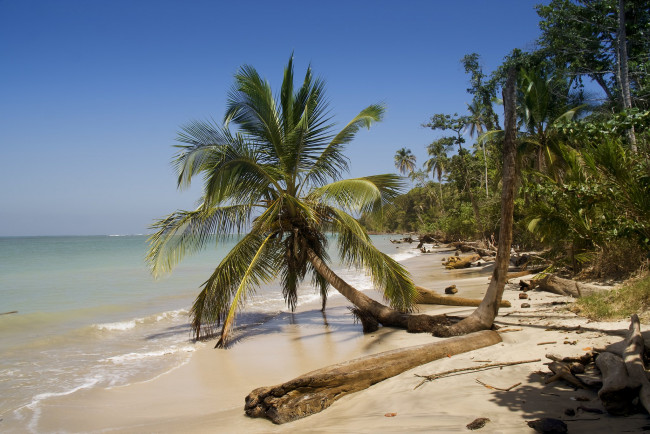 Обои картинки фото природа, тропики, простор