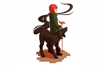 Картинка аниме mahou+tsukai+no+yome невеста чародея