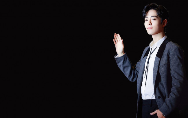Обои картинки фото мужчины, xiao zhan, актер, пиджак, жест
