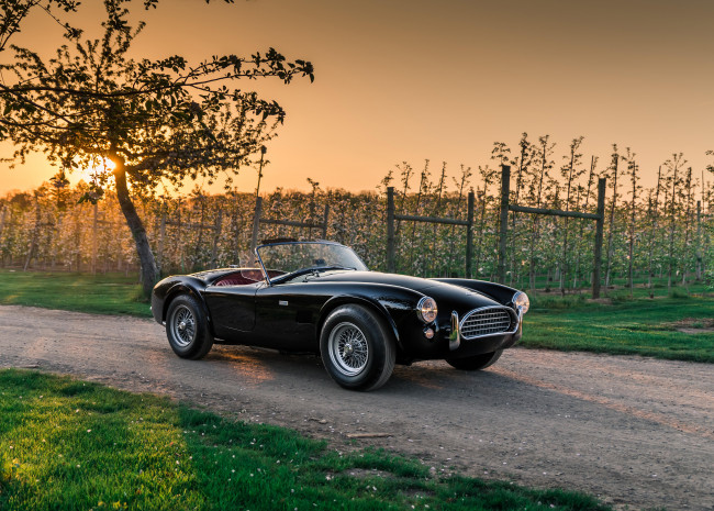 Обои картинки фото автомобили, ac cobra, shelby, ac