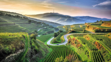 обоя природа, поля, холмы, дорога, машина