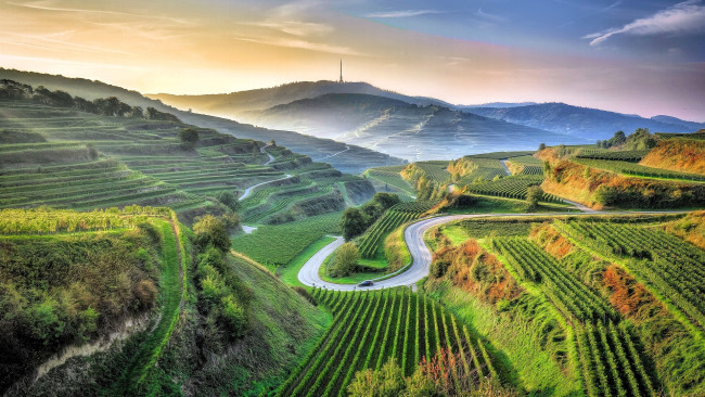 Обои картинки фото природа, поля, холмы, дорога, машина