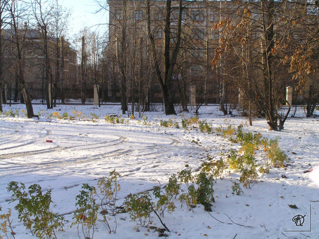 Обои картинки фото города