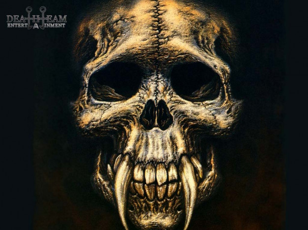 Обои картинки фото разное