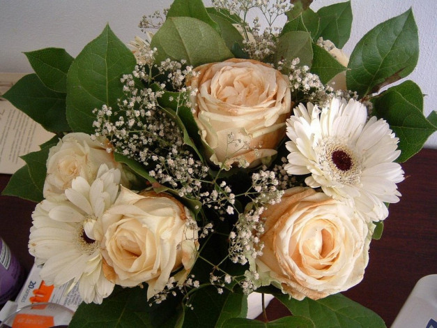 Обои картинки фото цветы, букеты, композиции