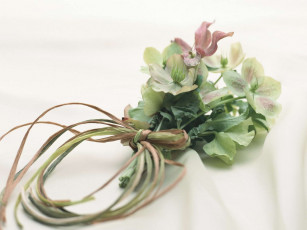 Картинка цветы букеты композиции