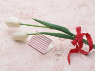 Картинка цветы тюльпаны