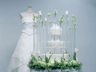 Картинка разное одежда обувь текстиль экипировка