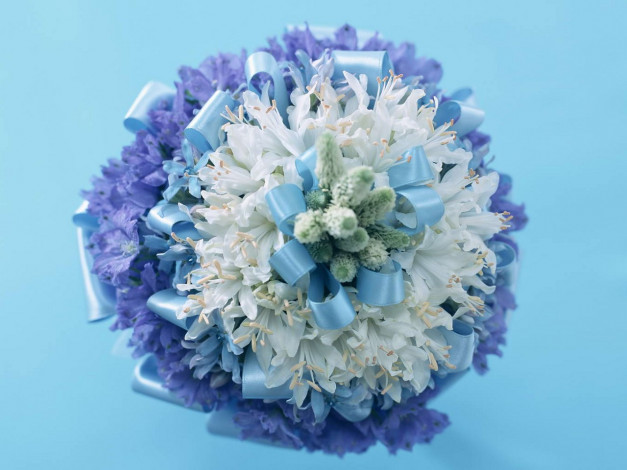 Обои картинки фото цветы, букеты, композиции