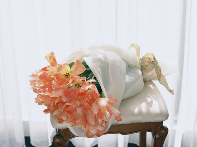 Обои картинки фото цветы, тюльпаны