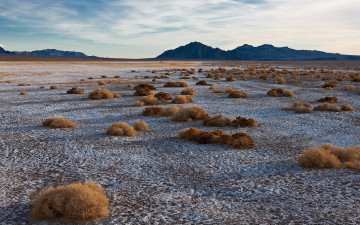 Картинка автор сергей доля природа пустыни