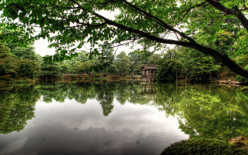 Картинка природа парк