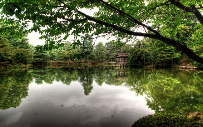 Обои картинки фото природа, парк