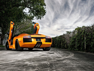 Картинка автомобили lamborghini облака кустарники автомобиль дорога деревья