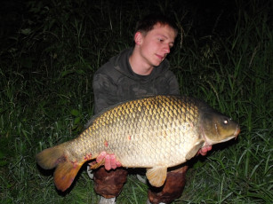 Картинка животные рыбы рыба улов