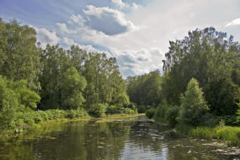 Картинка природа парк вода небо пруд